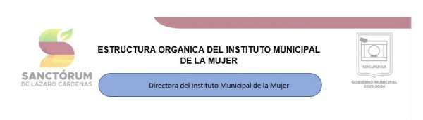 Organigrama de IMMujeres